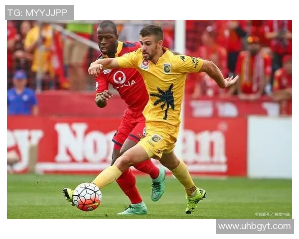 纽卡飞机事件引发墨尔本审理影响国际航空安全与法律争议